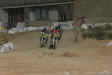 ep2004-8-022.jpg (38639 octets)